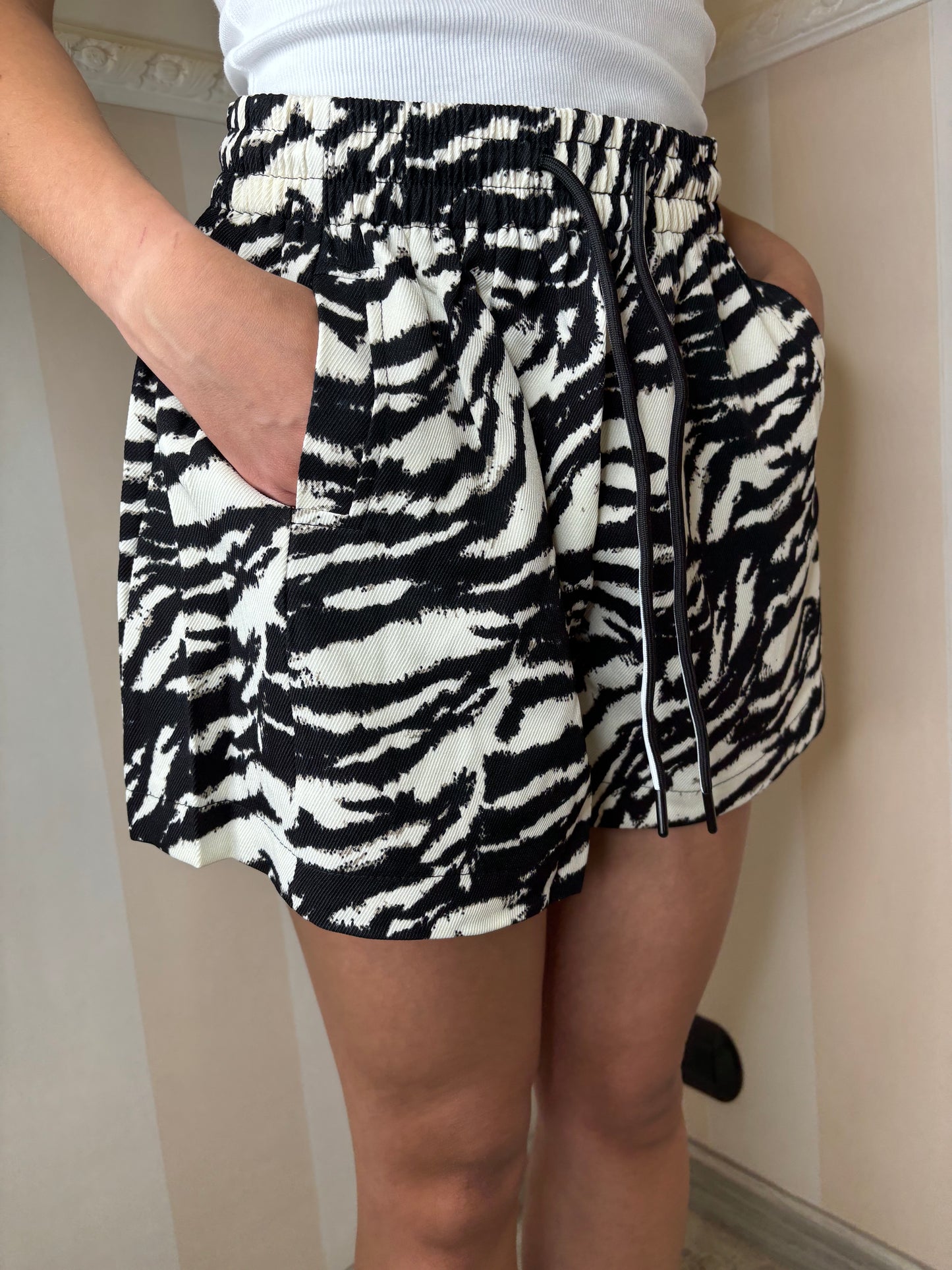Short zebra
