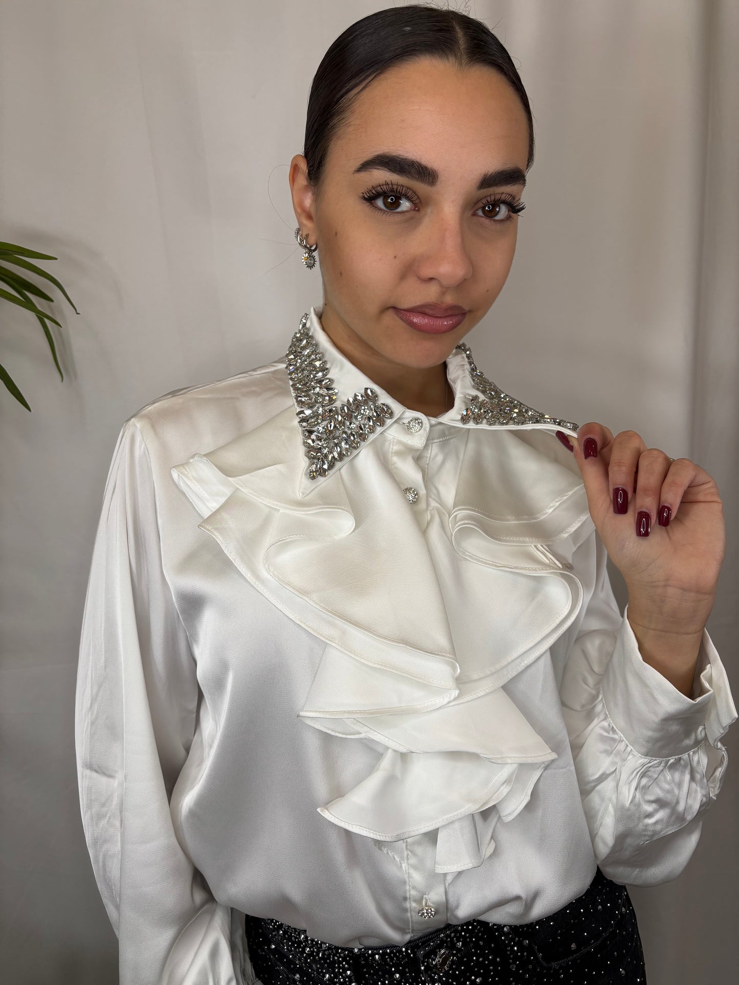 Camicia RUCHES in vari colori